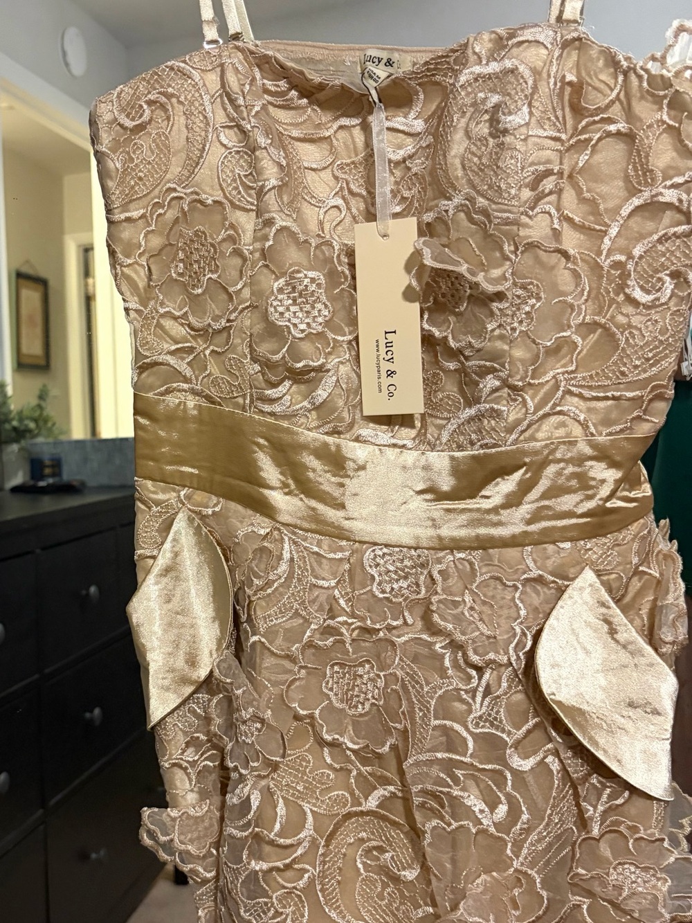 Women's Lace Overlay Satin Cocktail Dress in Champagne/Gold